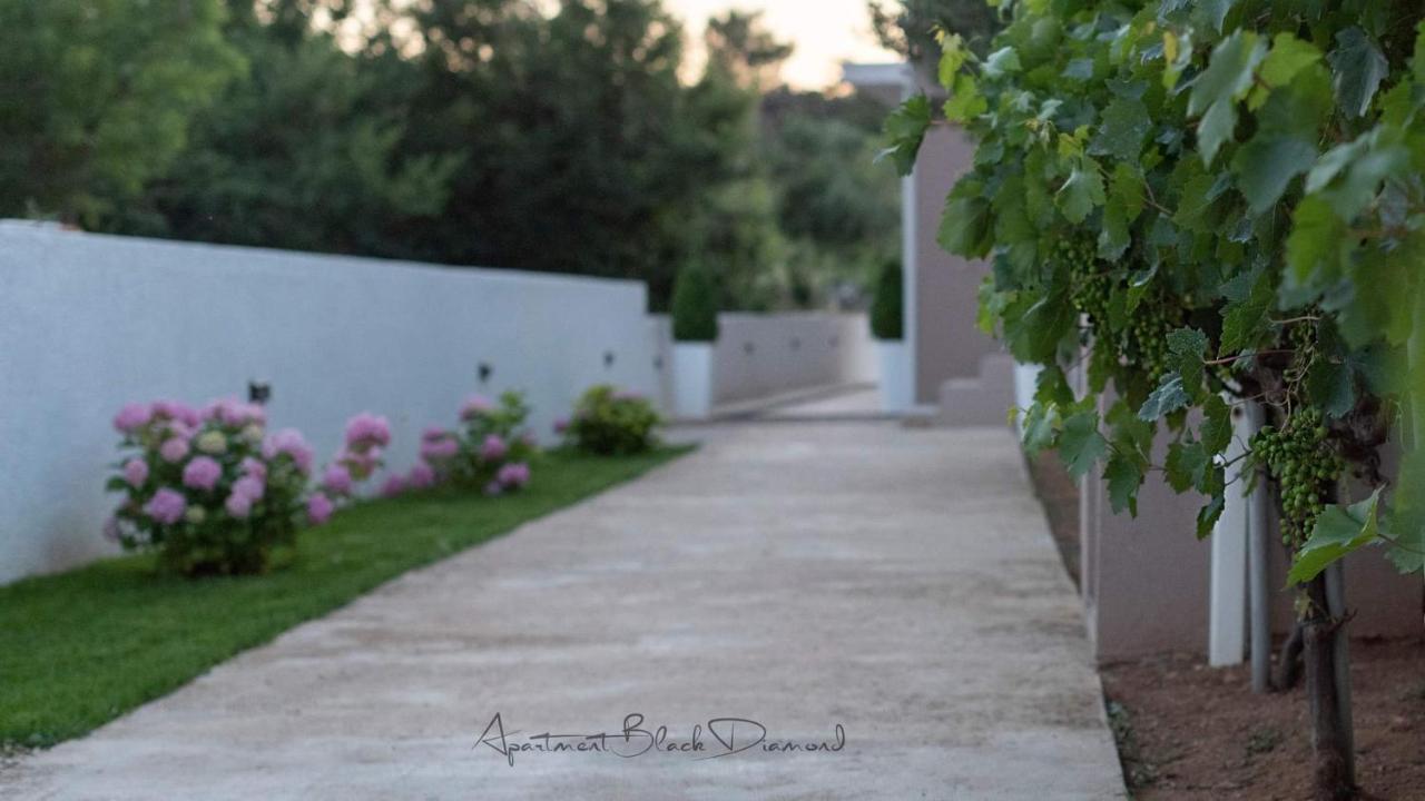 Apartment Black Diamond Ražanac Dış mekan fotoğraf